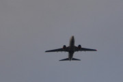 Morten 14 august 2018 - Stort fly over Høyenhall
