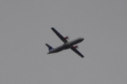 Morten 14 august 2018 - Stort fly over Høyenhall