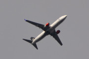 Morten 14 august 2018 - Stort fly over Høyenhall