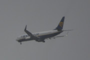 Morten 16 september 2018 - Stort fly ved Sandefjord