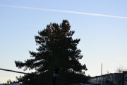 Morten 18 november 2018 - Jetfly over Høyenhall
