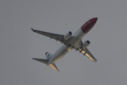 Morten 20 august 2018 - Stort fly over Høyenhall