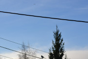 Morten 20 oktober 2018 - Swiss International Air Lines over Høyenhall