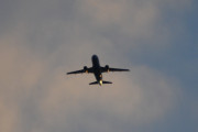 Morten 26 oktober 2018 - Stort fly over Høyenhall