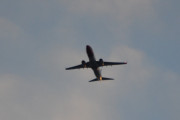 Morten 26 oktober 2018 - Stort fly over Høyenhall