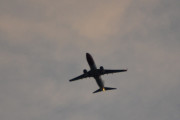 Morten 26 oktober 2018 - Stort fly over Høyenhall
