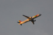 Morten 26 september 2018 - TAP Air Portugal over Høyenhall