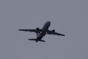Morten 29 desember 2018 - Stort fly over Høyenhall
