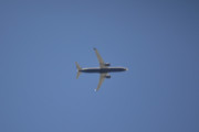 Morten 5 august 2018 - Stort fly over Høyenhall