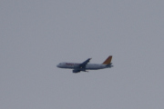 Morten 9 desember 2018 - Pegasus Airlines over Botanisk hage