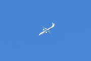 Morten 24 august 2020 - Stort fly over Høyenhall