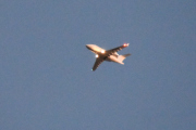 Morten 16 oktober 2020 - Små-jet over Høyenhall på kvelden