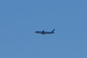 Morten 18 april 2020 - Stort fly over Høyenhall