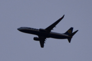 Morten 19 januar 2020 - Ryanair over Grefsen
