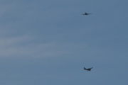 Morten 19 januar 2020 - Stort fly og et lite fly møtes over Høyenhall
