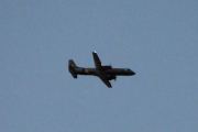Morten 2 februar 2020 - Stort fly over Høyenhall