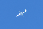 Morten 2 september 2020 - Stort fly over Høyenhall