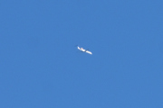 Morten 25 august 2020 - Stort fly langt unna