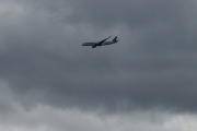 Morten 26 april 2020 - Det var en gang et stort fly