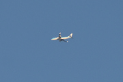 Morten 3 september 2020 - To fly som passerer hverandre