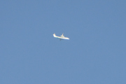 Morten 3 september 2020 - To fly som passerer hverandre