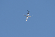 Morten 8 september 2020 - Stort fly over Høyenhall