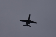 Morten 9 mai 2020 - Små-jet på kvelden over Høyenhall