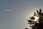 Morten 14 januar 2022 - Jetflyet og solen, her er solen, måtte bare gjemme den litt bak et tre