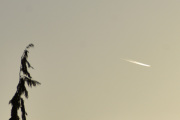 Morten 25 november 2021 - Jetfly over Høyenhall, flyr mot solnedgangen og jeg manglet bare fuglen
