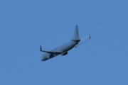 Morten 16 desember 2021 - Stort fly over Høyenhall, og hadde jeg hvert en god fotograf ville jeg ha hatt to store fly i samme bilde
