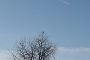 Morten 17 desember 2021 - Jetfly og Norwegian over Høyenhall