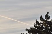 Morten 3 desember 2021 - Jetflyet med fuglen over Høyenhall