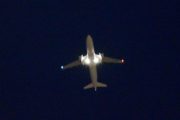 Morten 4 desember 2021 - Stort fly om natten, men nå må dere huske på at jeg legger meg tidlig