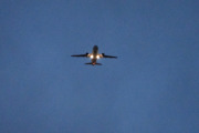 Morten 10 januar 2021 - Stort fly over Høyenhall, men det tok ikke lang tid før jeg så at det var et passasjerfly