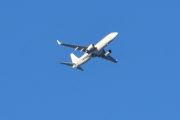 Morten 3 januar 2021 - Stort fly over Gamle Aker, klokken er 13.59. Blir det samme her, de lignet litt på hverandre