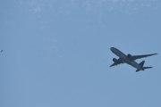 Morten 20 juli 2021 - A7-BFL over Høyenhall, den får følge av låvesvalen som ikke klarer og holde følge