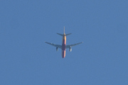 Morten 21 juli 2021 - Stort fly over Høyenhall