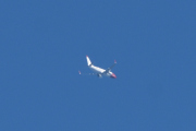 Morten 3 juli 2021 - Norwegian over Høyenhall, men den har ingen norsk helt på halen