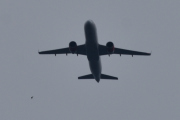 Morten 5 juli 2021 - Stort fly over Høyenhall