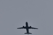 Morten 5 juli 2021 - Stort fly over Høyenhall