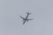 Morten 13 juni 2021 - Stort fly over Høyenhall, alle disse har retning sydover