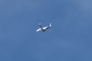 Morten 20 mars 2021 - Stort fly over Høyenhall, men ofte er det ikke, så vi krysser fingrene for bedre tider