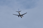 Morten 21 mars 2021 - SAS over Høyenhall, kom litt for sent ut men fikk et bilde da