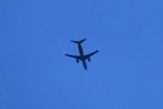 Morten 25 mars 2021 - Stort fly over Høyenhall, litt for sent på kvelden