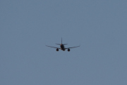 Morten 5 mars 2021 - Stort fly over Høyenhall, samme her, jeg bare snudde meg