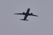 Morten 6 mars 2021 - Scandinavian over Høyenhall, den er litt ut av bane til å fly rett over meg