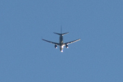 Morten 11 november 2021 - Stort fly over Høyenhall
