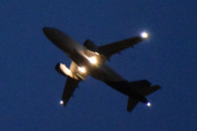 Morten 12 november 2021 - Stort fly om kvelden over Høyenhall, men nå går jeg og legger meg