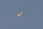 Morten 19 november 2021 - Stort fly over Høyenhall, jeg burde vel kjenne igjen disse fargene her