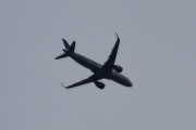 Morten 24 november 2021 - SAS over Høyenhall, har kommet hjem igjen nå, men denne var for høyt oppe